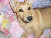 Тимка __ фотография #16 (источник - https://vk.com/id147852110)