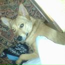 Тимка __ фотография #14 (источник - https://vk.com/id147852110)