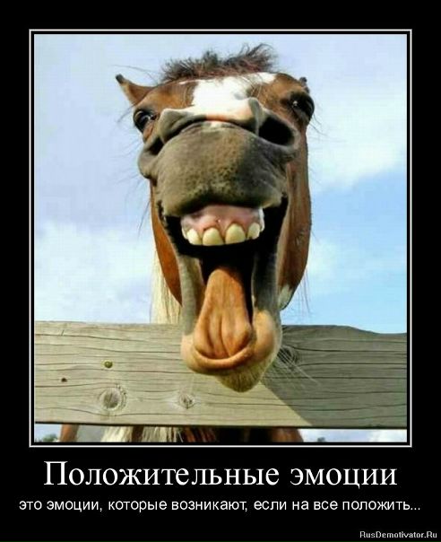 Вадим Мищенко фото №29