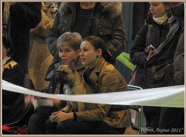 Elena Nikis фотография #19