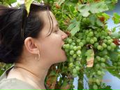 Фотография Писларий Алены