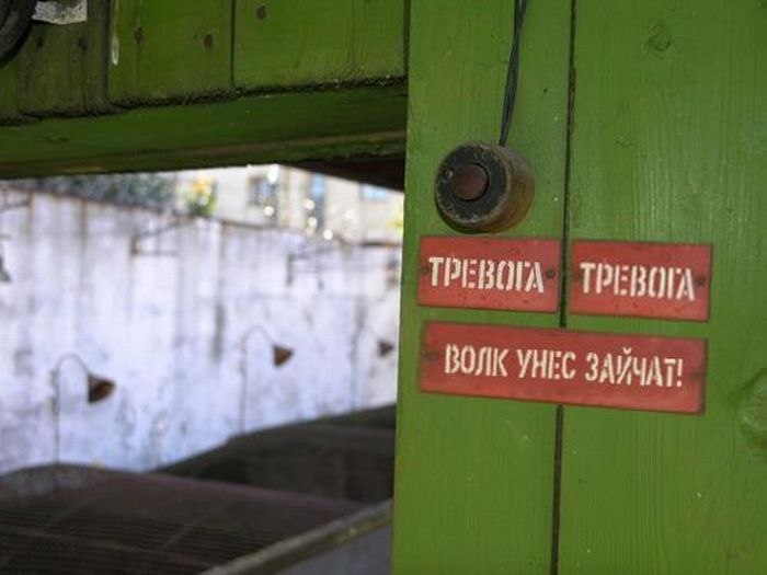 Макс Быков фотография #26