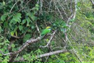 Кса На фотография #16 (источник - https://vk.com/id3671604)