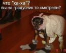 Фотография Ивановой Алены