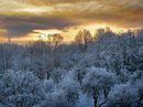 Андрій Пожога фотография #8 (источник - https://vk.com/id143825018)