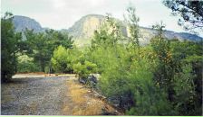 Андрій Мітлош фотография #13 (источник - https://vk.com/id12815995)