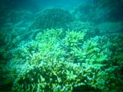 Евгений Мурышкин фотография #21 (источник - https://vk.com/id107583)