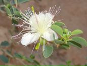 Наташа Родіонова фотография #17 (источник - https://vk.com/id13590232)