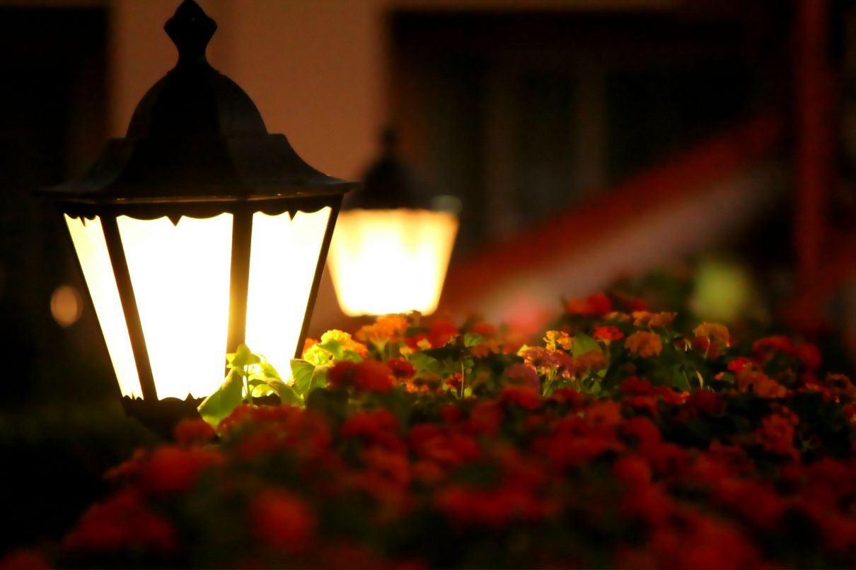 Иван Быченко фотография #35