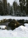 Сергій Саєнко фотография #24 (источник - https://vk.com/id150652514)
