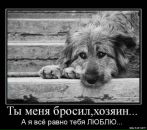Соломія Царик фотография #36 (источник - https://vk.com/id16160013)