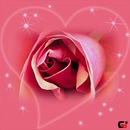 Софія Пеленська фотография #44 (источник - https://vk.com/id152105981)