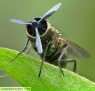 Фотография Орлова Дмитрия