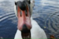 Фотография Правоторова Владимира