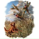 Сергій Мисан фотография #43 (источник - https://vk.com/id170038266)