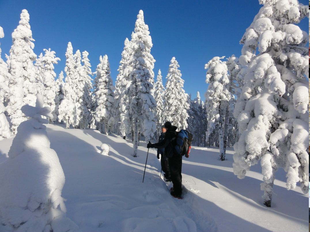 Дмитрий Трушков фотография #9