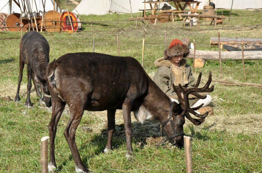 Станислав Мальцев фото №27