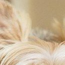 Марія Кобзар фотография #34 (источник - https://vk.com/id96067224)