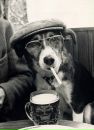 Віталій Процик фотография #10 (источник - https://vk.com/id151993982)