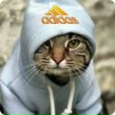 Денис Ракул фотография #15 (источник - https://vk.com/id237499111)