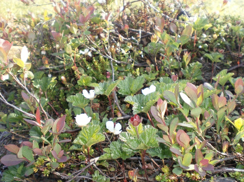 Саша Шляхов фотография #37