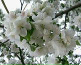 Фотография Борисовой Татьяны