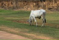 Роман Бенц фотография #29 (источник - https://vk.com/id760613)