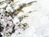 Юлія Іванцова фотография #8 (источник - https://vk.com/id9906549)