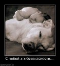 Вікуся Аляпушкіна фотография #15 (источник - https://vk.com/id69997303)