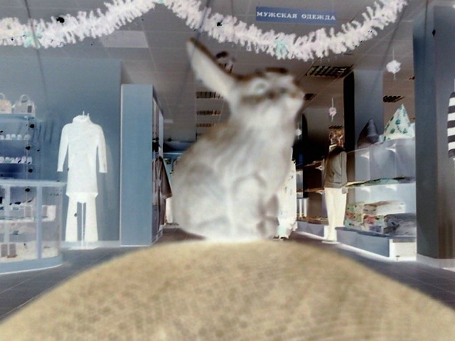 Игорь Plat фотография #33