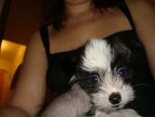 Фотография Селиванов Виктор