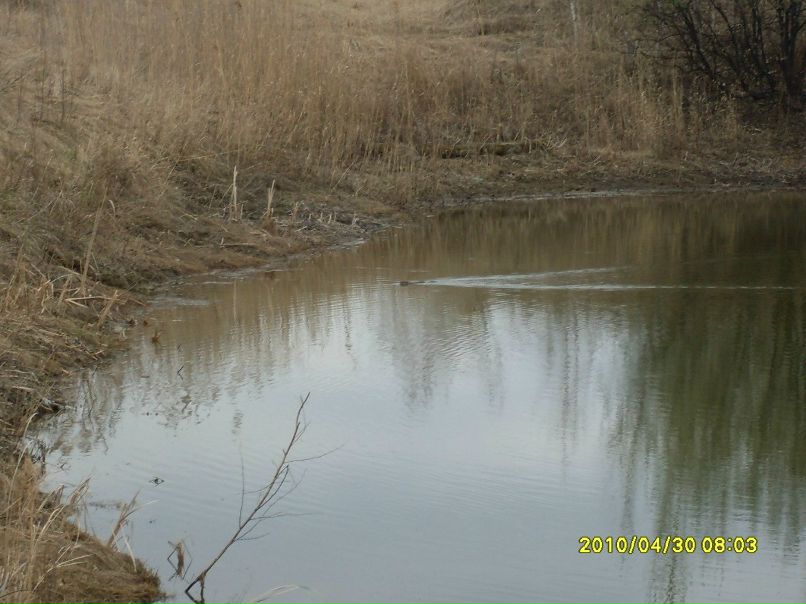 Иван Пашко фотография #21