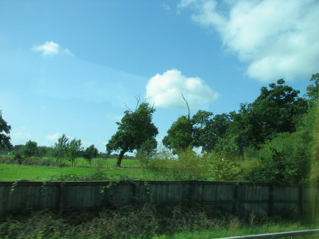 Ромул Рем фотография #39