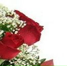 Свєтик Киришко фотография #26 (источник - https://vk.com/id107540108)