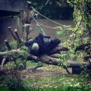 Дмтр Мксмв фотография #47 (источник - https://vk.com/id628801)