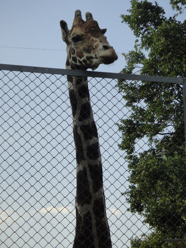 Василиса Токарева фотография #31