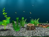 Рома Іванов фотография #2 (источник - https://vk.com/id133974189)