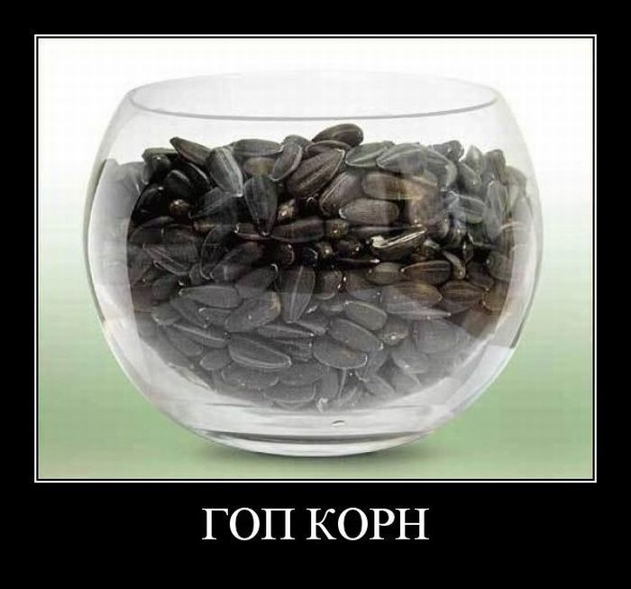 Игорь Сазонов фотография #47