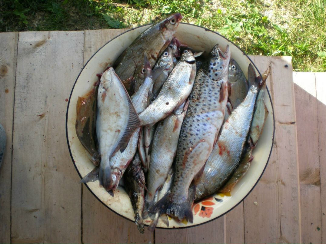 Сергей Суетин фотография #3