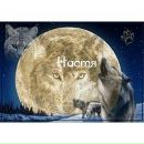 Настінька Мигович фотография #21 (источник - https://vk.com/id137205008)