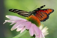 Фотография Журавлевой Женечки