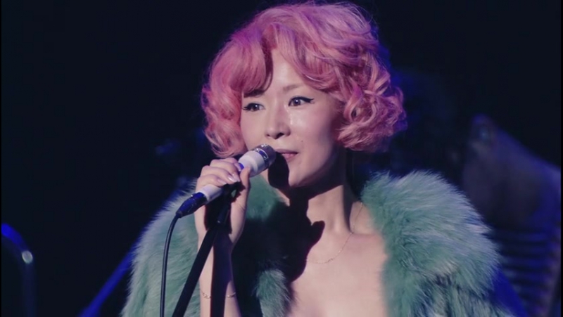Ringo Expo '14 -Toshionna no Gyakushuu ((生)林檎博'14 ―年女の逆襲
