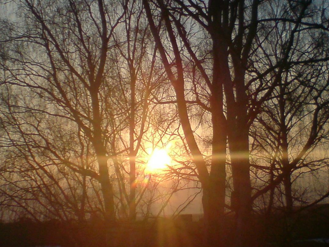 Денис Николаев фотография #11