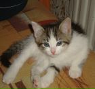 Фотография Хлямовой Ольги