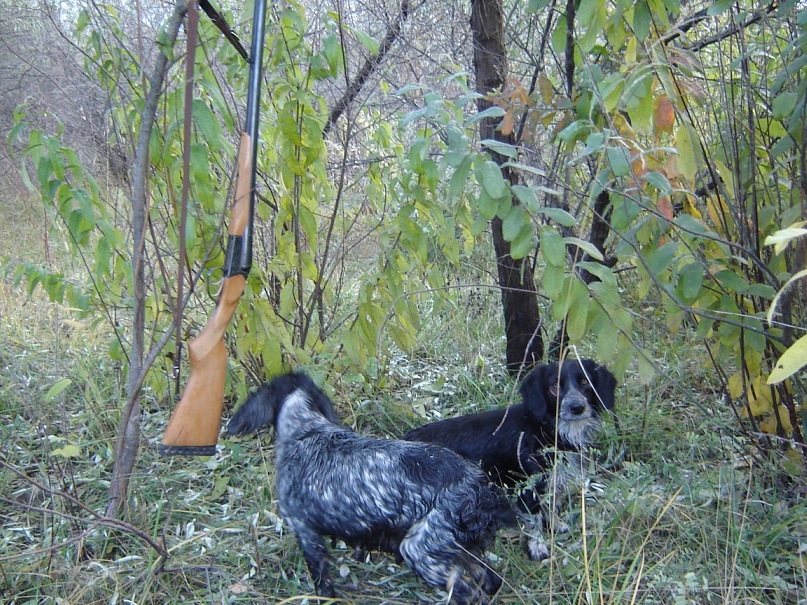 Игорь Донец фотография #48