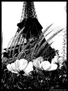 Віка Борісова фотография #17 (источник - https://vk.com/id16731478)