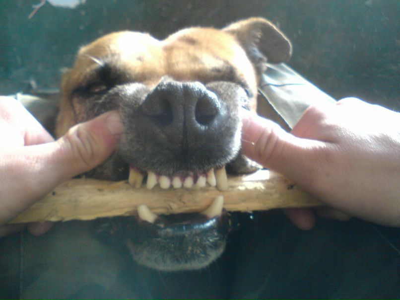 Артур Баширов фотография #44