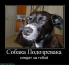 Андрей Лермонтов фотография #14 (источник - https://vk.com/id3879905)