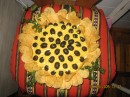 Віка Павленко фотография #16 (источник - https://vk.com/id54517374)