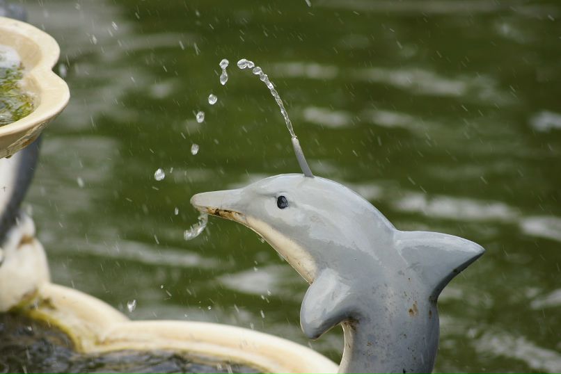 Иван Пешков фотография #18